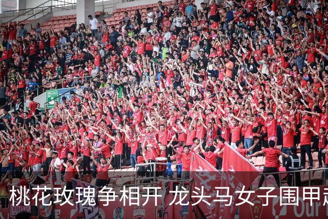 桃花玫瑰争相开 龙头马女子围甲赴风雅之约